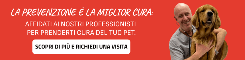 Banner ca zampa.png