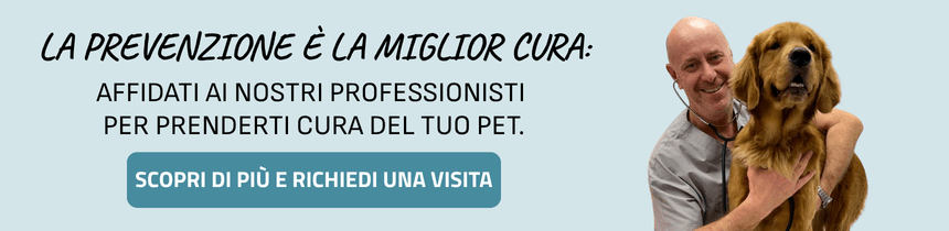 Ca-zampa-banner-promozionale.png