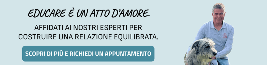 Educazione cinofila con ca'zampa