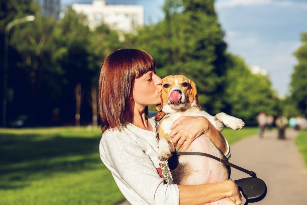 Consulenza pre-affido cani: cos’è e quando chiederla