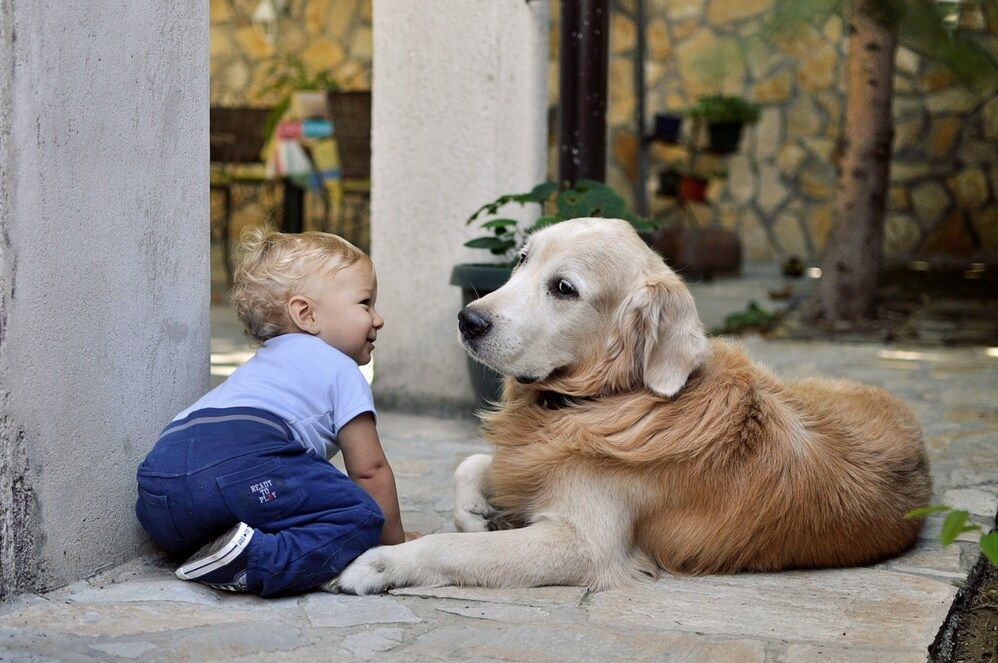 Cani e bambini: come favorire la convivenza